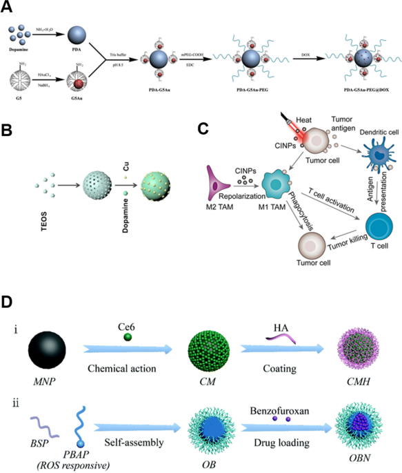 Nanodelivery systems for cutaneous melanoma treatment - ScienceDirect