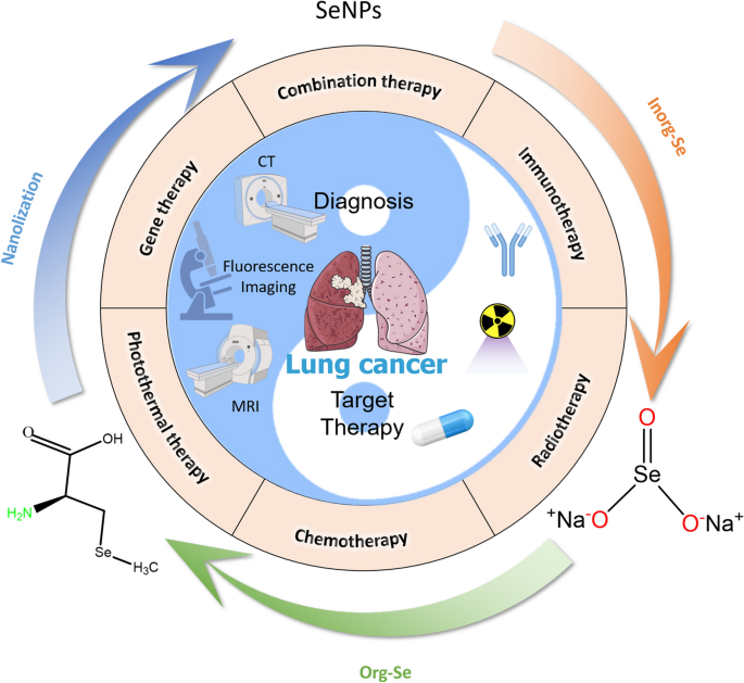 Full article: Biomedical Potential of Plant-Based Selenium Nanoparticles: A  Comprehensive Review on Therapeutic and Mechanistic Aspects