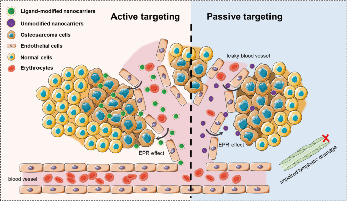 Nanodrug Delivery Strategies to Signaling Pathways in Alopecia