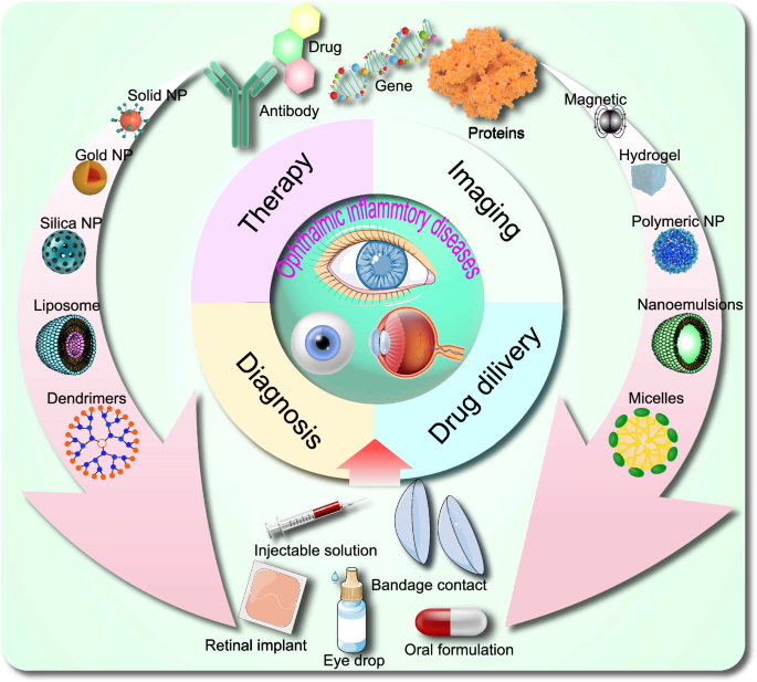 Amination-mediated nano eye-drops with enhanced corneal permeability and  effective burst release for acute glaucoma treatment - ScienceDirect