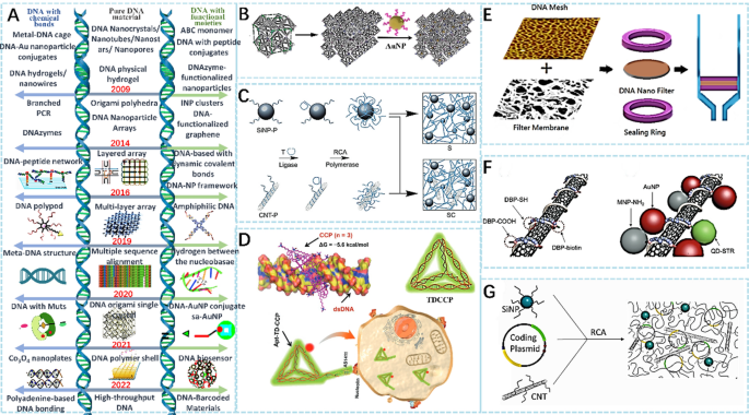 Functionalized Nanomaterial Assembling and Biosynthesis Using the