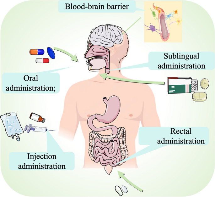 Drug Delivery Methods