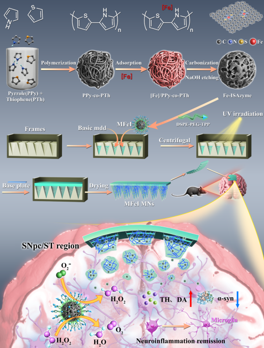 glutathione parkinson's disease therapy perlmutter The glutathione system in Parkinson's disease and its progression