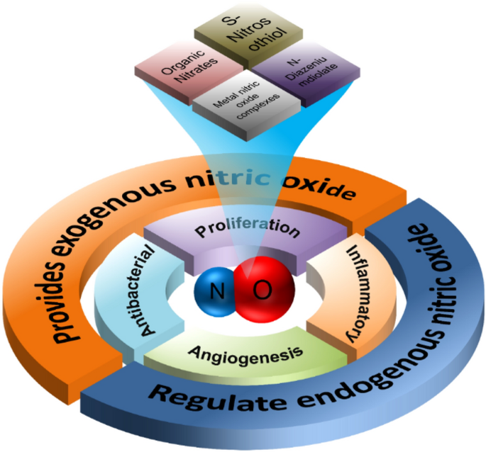 Emerging strategies for nitric oxide production and their topical  application as nanodressings to promote diabetic wound healing | Journal of  Nanobiotechnology | Springer Nature Link