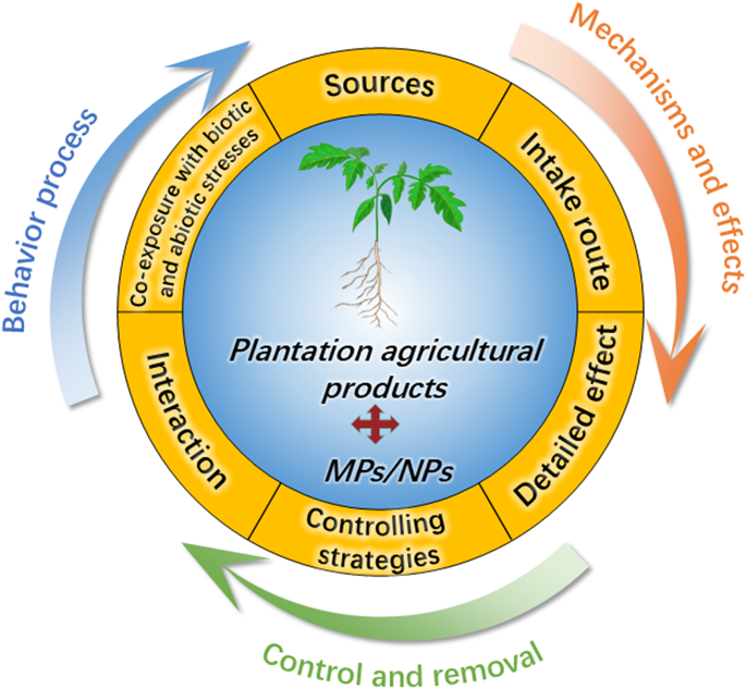 Micro/Nanoplastics in plantation agricultural products: behavior process, phytotoxicity under biotic and abiotic stresses, and controlling strategies | Journal of Nanobiotechnology | Springer Nature Link Micro/Nanoplastics in plantation agricultural products: behavior process, phytotoxicity under biotic and abiotic stresses, and controlling strategies | Journal of Nanobiotechnology | Springer Nature Link