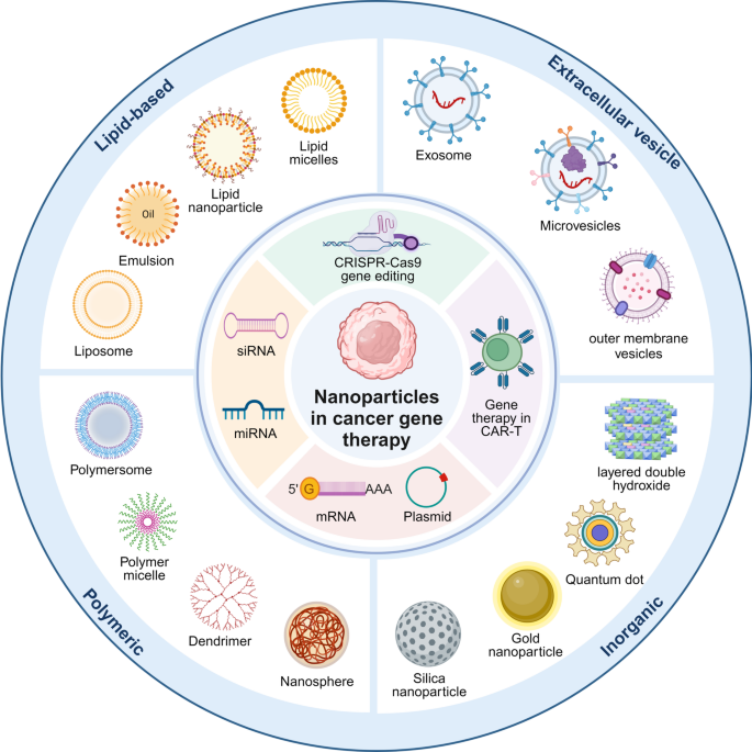 taking glutathione can affect menstrual cycle during menstruation affects An Overview of the Impact of the on Nutrient Metabolism: An Integrative Perspective Proteomics to reveal relationship between  does glutathione iv effects menstruation  taking glutathione can affect menstrual