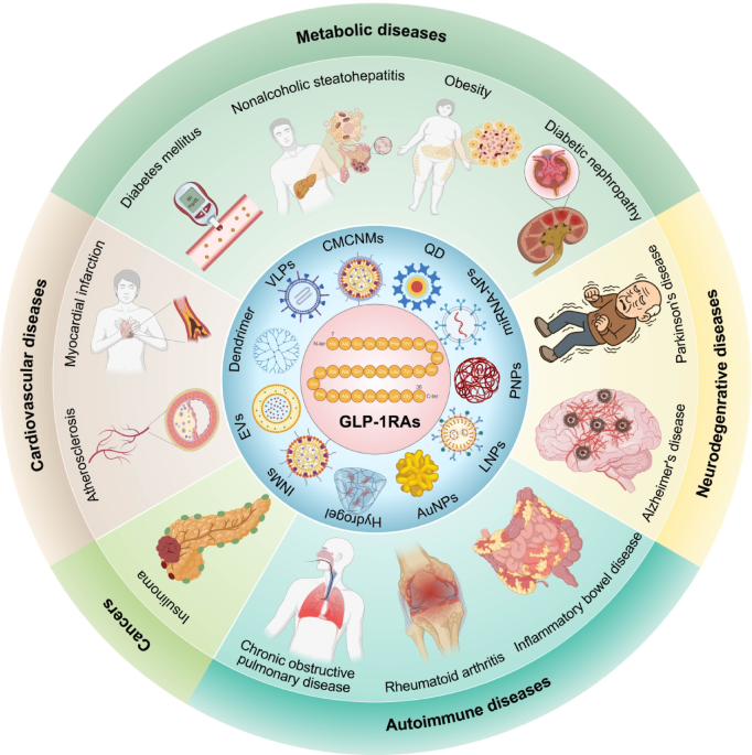 glp 1 nano microneedle patch instructions Engineered GLP-1R-targeting nanoplatforms: multimodal therapeutics in human  diseases | Journal of Nanobiotechnology