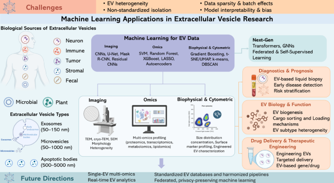 Diagnostic Precision and Medical Device Testing