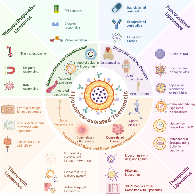 glutathione and methylcobalamin cipro repair Liposomal multimodal theranostics for bone disorders: from rational responsive delivery biomimetic strategies to clinical translation | Journal of Nanobiotechnology Ingestibles Orthoplex Liposomal Glutathione 40 Size:5mg