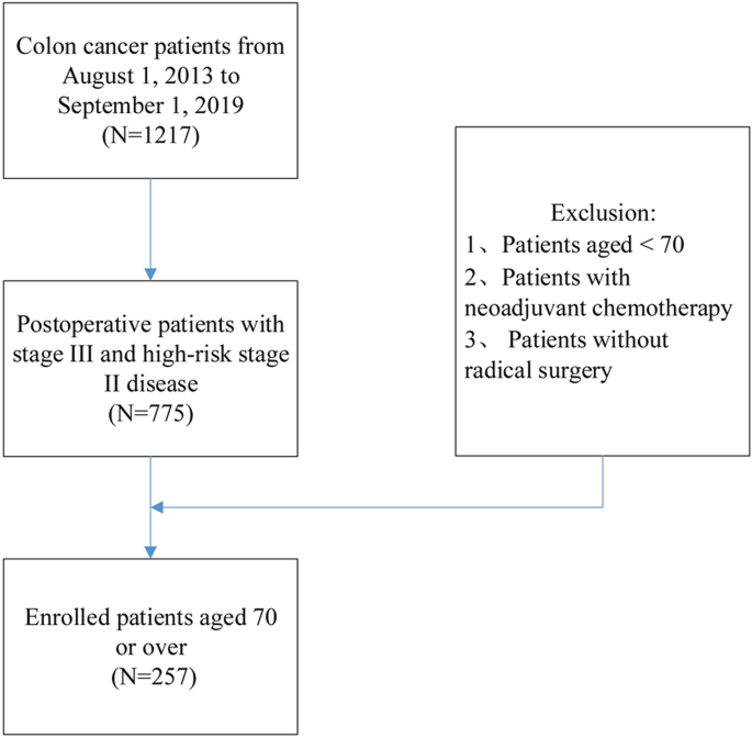 Effect of the duration of the capecitabine regimen following colon cancer  surgery in an elderly population: a retrospective cohort study | World  Journal of Surgical Oncology | Full Text