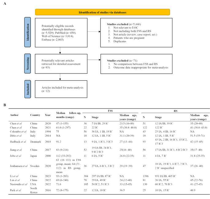 Oncological outcomes of fertility-sparing surgery versus radical surgery in stage - epithelial ovarian cancer: a systematic review and meta-analysis