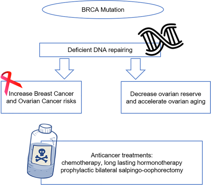 You Can Now Test for BRCA Genetic Mutations at Home—But Should You?