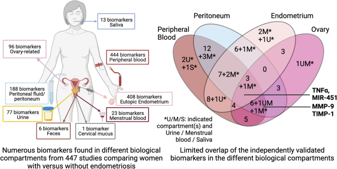 An integrated multi-tissue approach for endometriosis candidate biomarkers: a systematic review | Reproductive Biology and Endocrinology