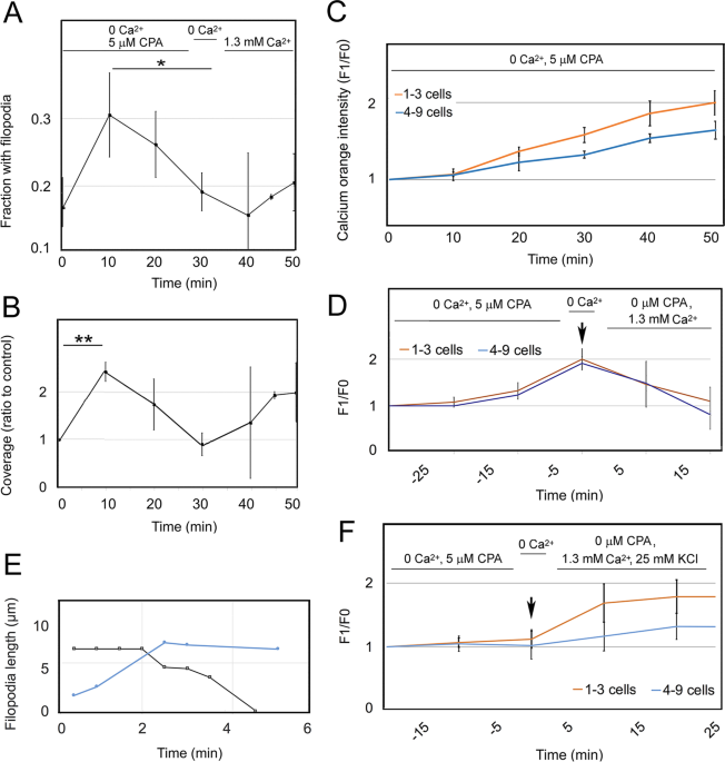 How filopodia respond to calcium in the absence of a calcium-binding  structural protein: non-channel functions of TRP, Cell Communication and  Signaling