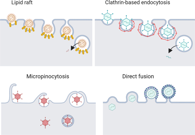 Nano sized germ killers torrent