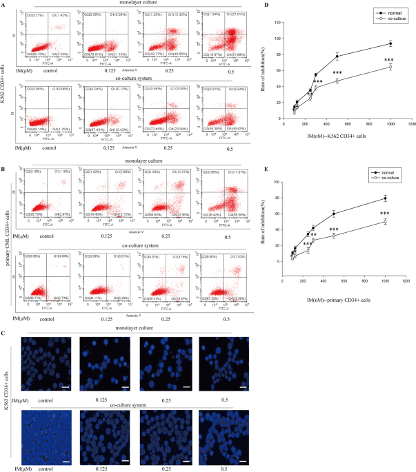 Induction of DNMT1-dependent demethylation of SHP-1 by the natural flavonoid compound Baicalein overcame Imatinib-resistance in CML CD34^+ cells