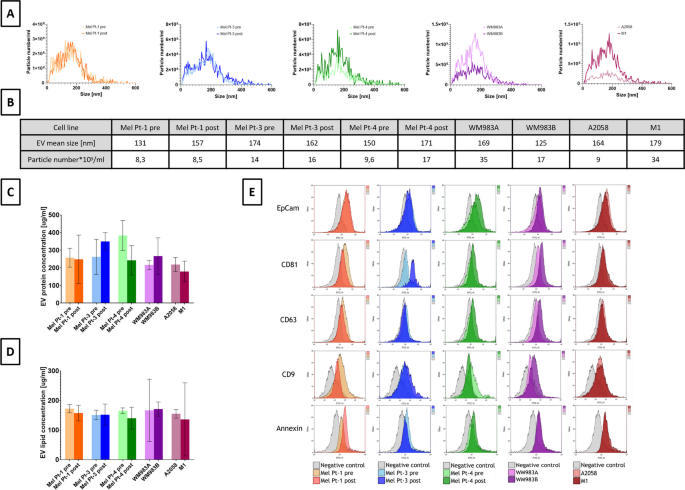 Extracellular vesicles promote migration despite BRAF inhibitor treatment in malignant melanoma cells