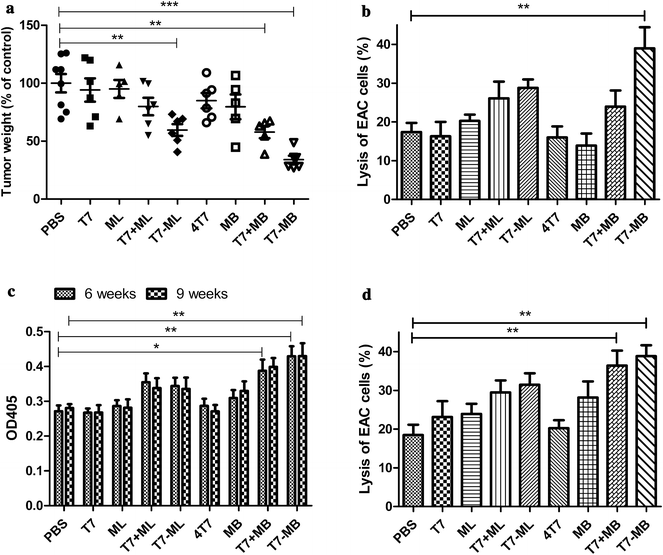 Gastric cancer vaccines synthesized using a TLR7 agonist and their