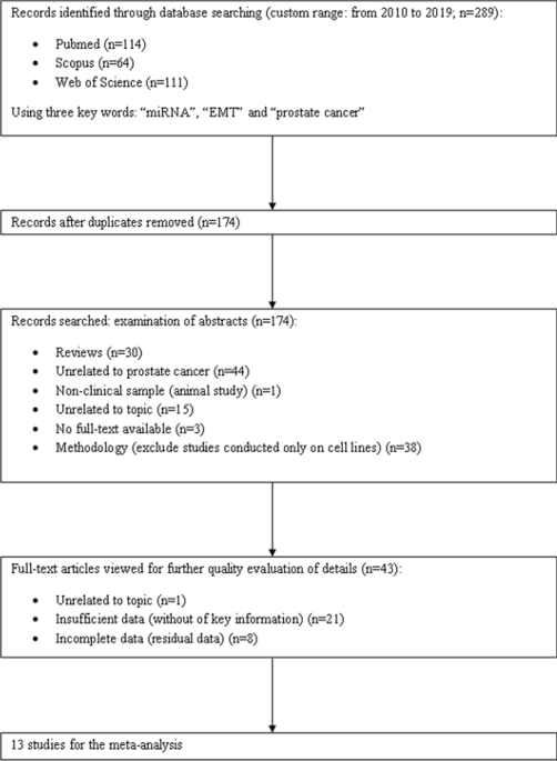 miR-410-3p suppresses breast cancer progression by targeting Snail