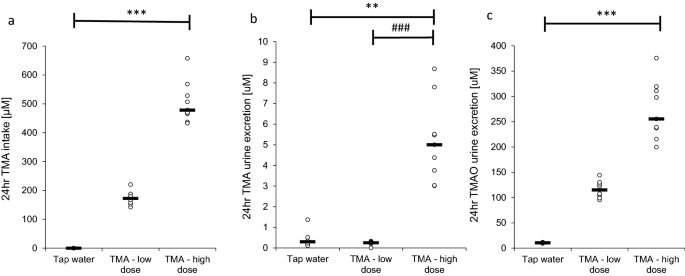 l carnitine anxiety Momentous Acetyl L-Carnitine