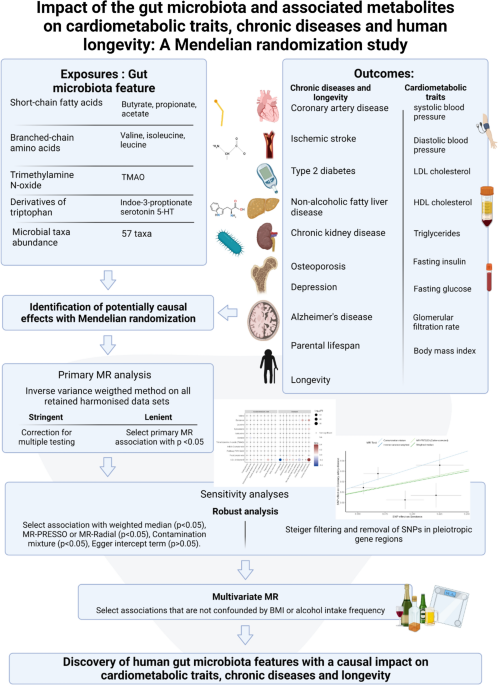 how many mg of l-carnitine for weight loss Gut microbial metabolites: Shaping future diagnosis and treatment against  gastrointestinal cancer
