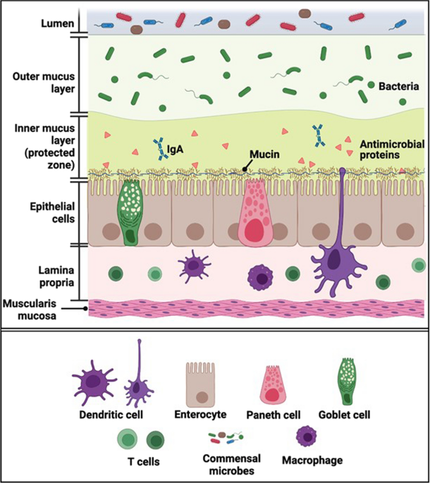 ghk-cu copper peptide benefits skin healing The Ultimate Guide to Copper Peptides for Skin Before and After