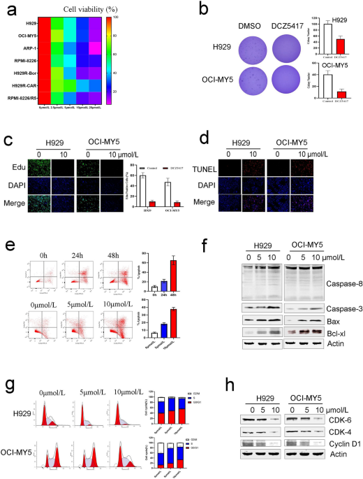 The novel norcantharidin derivative DCZ5417 suppresses multiple myeloma  progression by targeting the TRIP13–MAPK–YWHAE signaling pathway, Journal  of Translational Medicine
