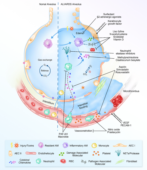 max dose of cjc 1295 ipamorelin CJC 1295 Ipamorelin: Benefits, Dosage, Side Effects and Research Guide 2026