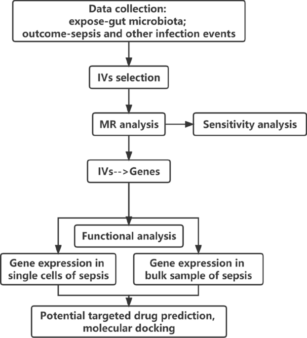 Causal effects of gut microbiota on sepsis and sepsis-related