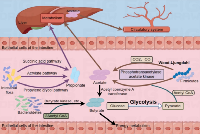 glutathione and kidney problems Healthy Kidneys: Best Foods and Natural Remedies main image 1