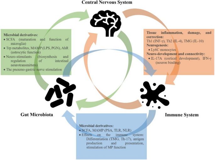 The potential therapeutic approaches targeting gut health in myalgic  encephalomyelitis/chronic fatigue syndrome (ME/CFS): a narrative review |  Journal of Translational Medicine