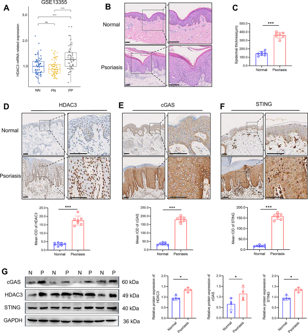 enzyme glutathione peroxidase trace element Frontiers