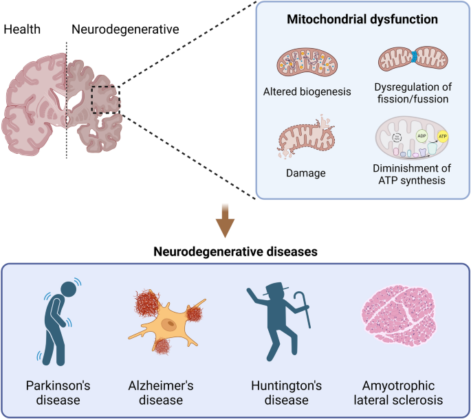 reveal glutathione review Integrated multi-omics analysis of zinc-finger proteins uncovers roles in  RNA regulation: Molecular Cell