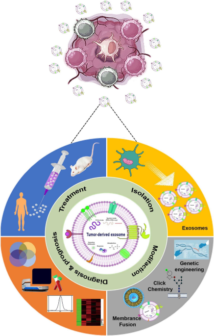Tumor-derived exosomes and their application in cancer treatment