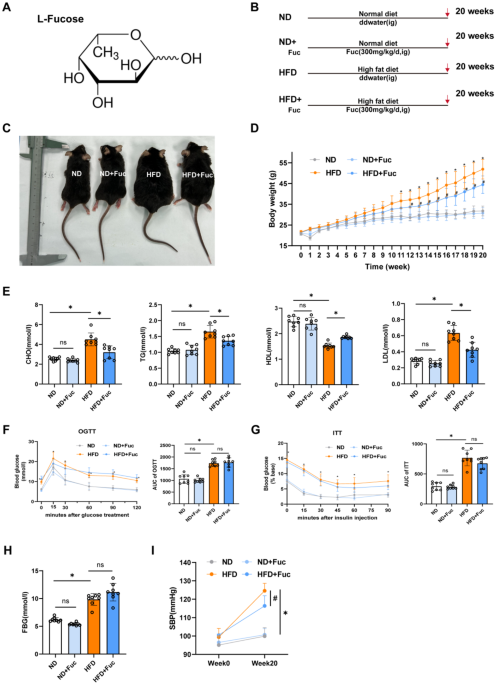 kb glutathione weight gain L-Fucose alleviates inflammation, pyroptosis and mitochondrial injury in obesity-related cardiac injury via TLR4/MyD88/NF-κB pathway | Journal of Translational Medicine You finally find out Color:ABONNE MILK POWER LIGHTENING COLLAGEN LOTION np_marque_sdm