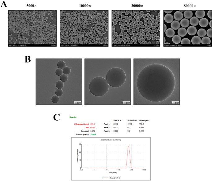 glutathione coated polystyrene particles Polystyrene microspheres could inhibit the ferroptosis of prostate cancer  cells via USP39/IGF2BP3/MAPK4 axis | Journal of Translational Medicine