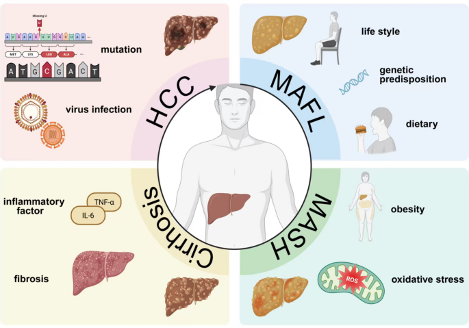walk-in lab glutathione test Rapid and effective protocol to measure peroxidase activity | Bulletin of the National Research Centre walk-in lab glutathione test Lipid