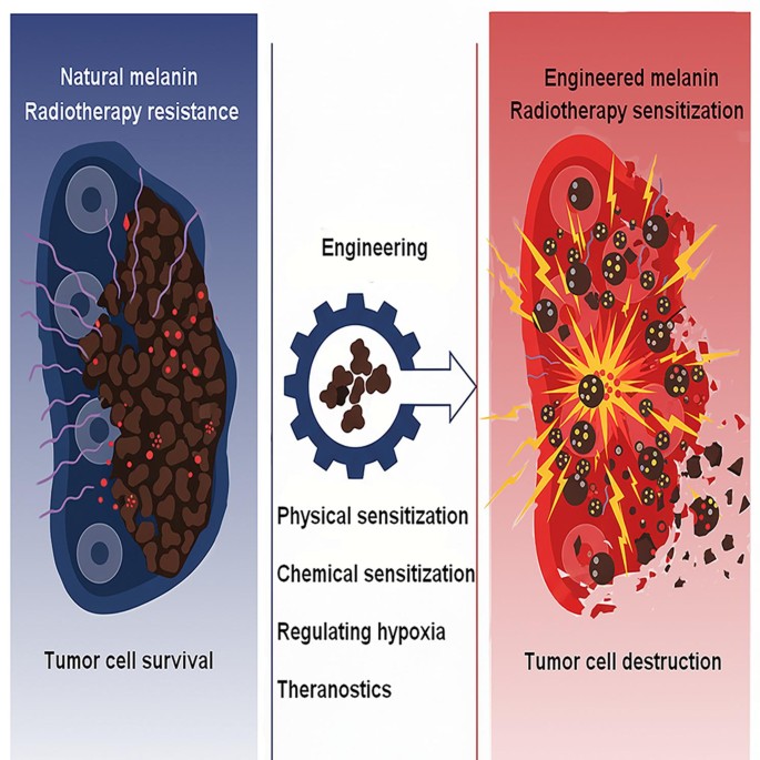 glutathione iq reviews Application of melanin and its engineered nanomaterials in tumor radiotherapy: a review | Journal of Translational Medicine hair_body_bd Variants:Sleep B2G1 (3pcs) AOD-9604 vs. Tesamorelin vs.