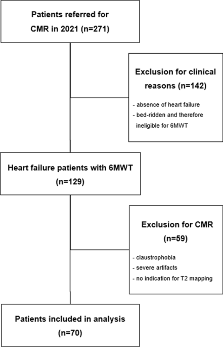 T2 Relaxation Times at Cardiac MRI in Healthy Adults: A Systematic