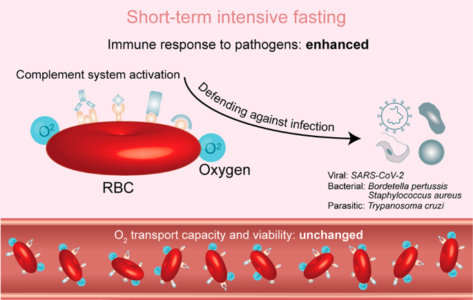 Fasting, COVID, and Vaccines: Everything you Need to Know - Zero Longevity