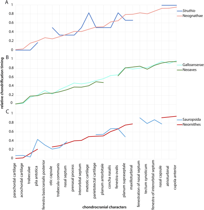 Frontiers  Common Patterns of Skull Bone Fusion and Their Potential to  Discriminate Different Ontogenetic Stages in Extant Birds