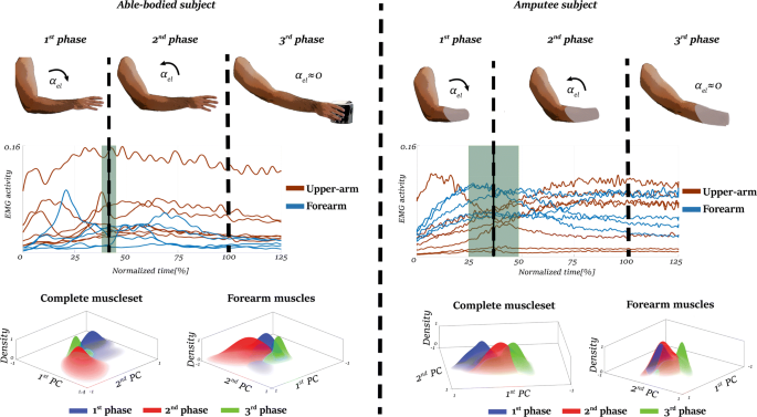 Electromyographic evaluation of upper limb muscles involved in armwrestling  sport simulation during dynamic and static conditions - ScienceDirect