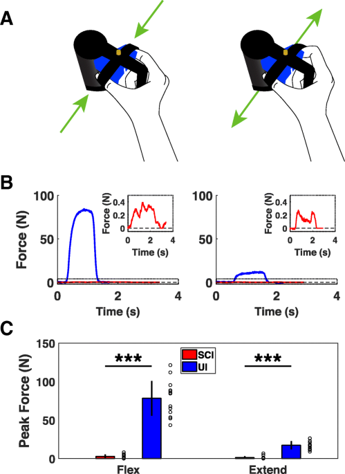 Pronation and Supination - Trial Exhibits Inc.