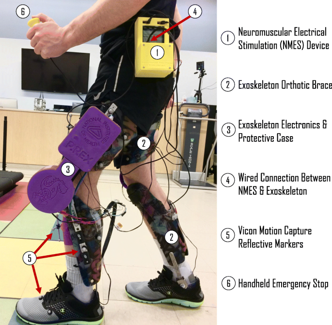 Toward a hybrid exoskeleton for crouch gait in children with cerebral  palsy: neuromuscular electrical stimulation for improved knee extension, Journal of NeuroEngineering and Rehabilitation