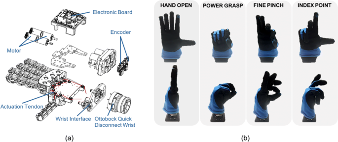 Mind-Controlled Prosthetic Hands Grasp New Feats - IEEE Spectrum