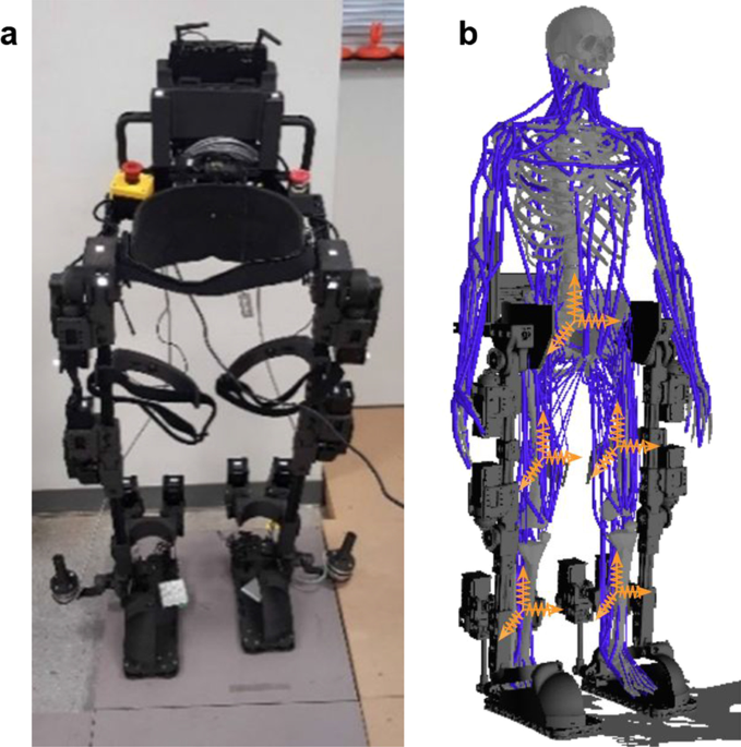 Robust walking control of a lower limb rehabilitation exoskeleton coupled  with a musculoskeletal model via deep reinforcement learning | Journal of  NeuroEngineering and Rehabilitation | Full Text