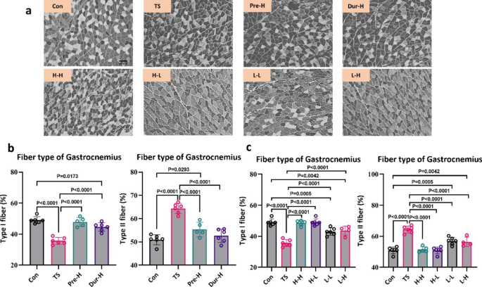 https://media.springernature.com/m685/springer-static/image/art%3A10.1186%2Fs12984-023-01208-6/MediaObjects/12984_2023_1208_Fig7_HTML.png