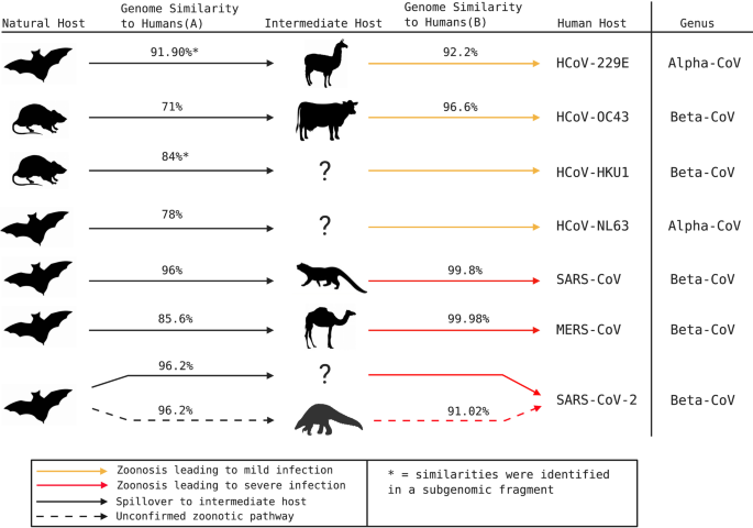 Reply to Garry: The origin of SARS-CoV-2 remains unresolved