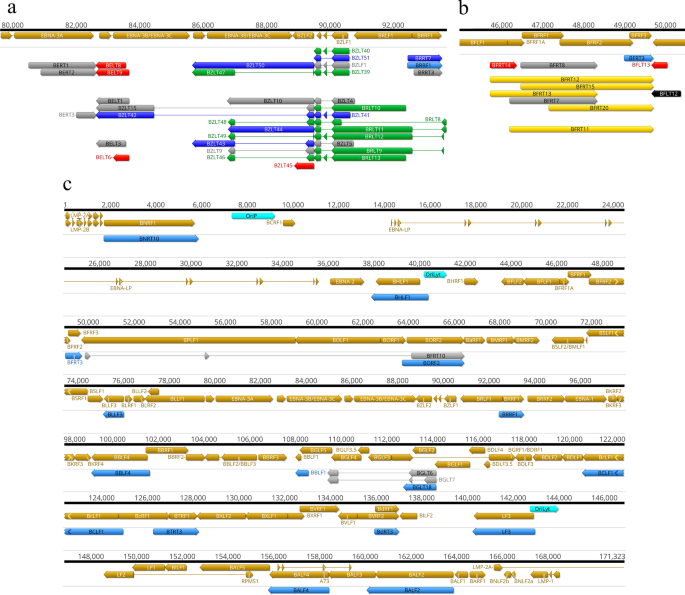 Nucleic Acid Sequence-Based Amplification, a New Method for Analysis of  Spliced and Unspliced Epstein-Barr Virus Latent Transcripts, and Its  Comparison with Reverse Transcriptase PCR