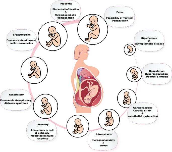 Maternity Benefits under NLG Individual Health Insurance [Infographic] -  NLG UAE